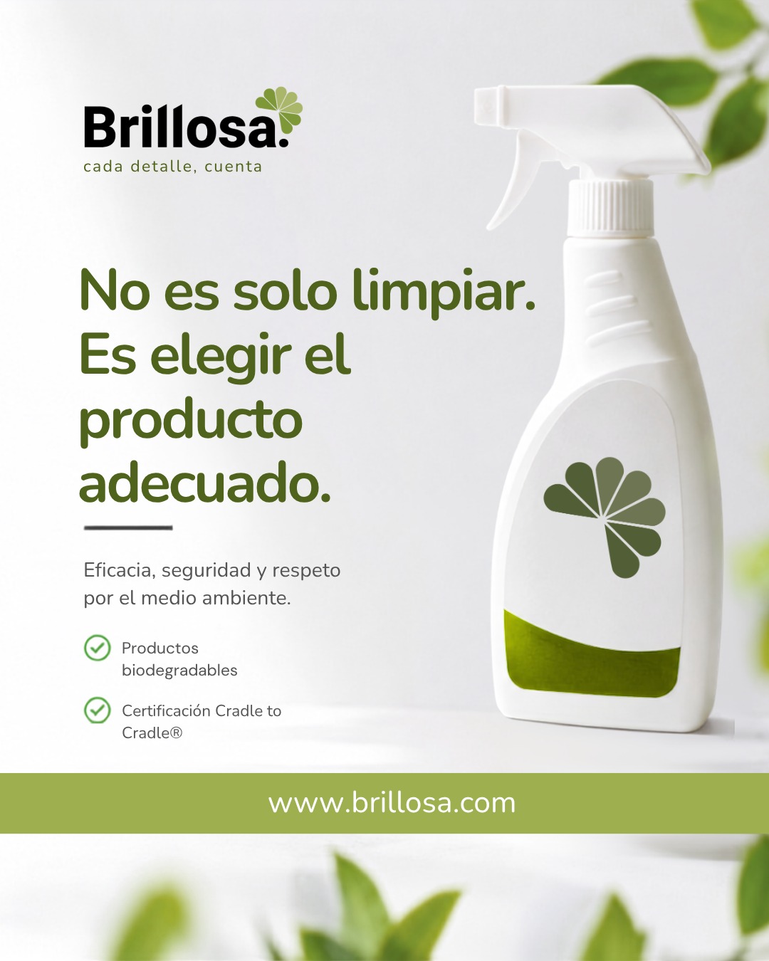 La clave de la limpieza con productos biodegradables